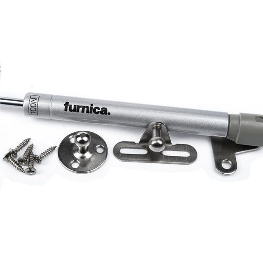 Verin de porte à gaz 250mm - 100N