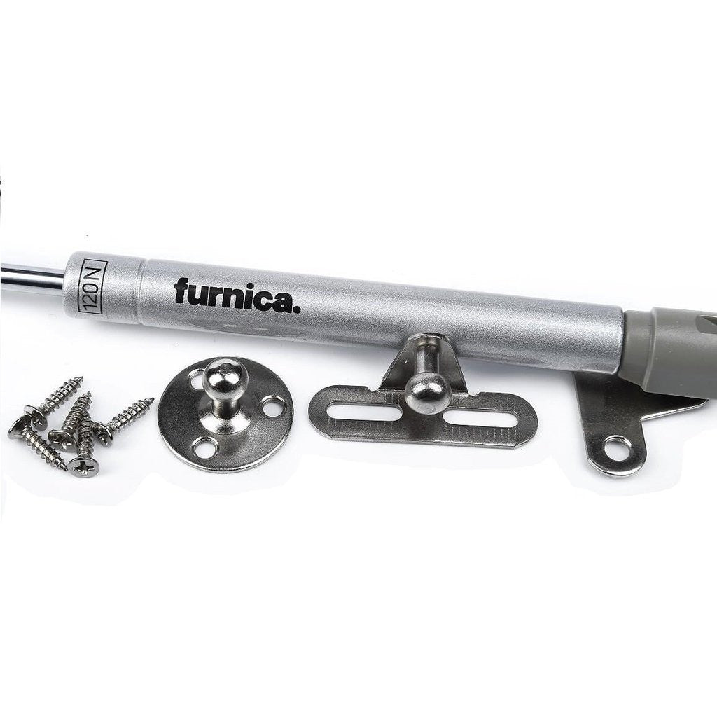 Verin de porte à gaz 250mm - 120N